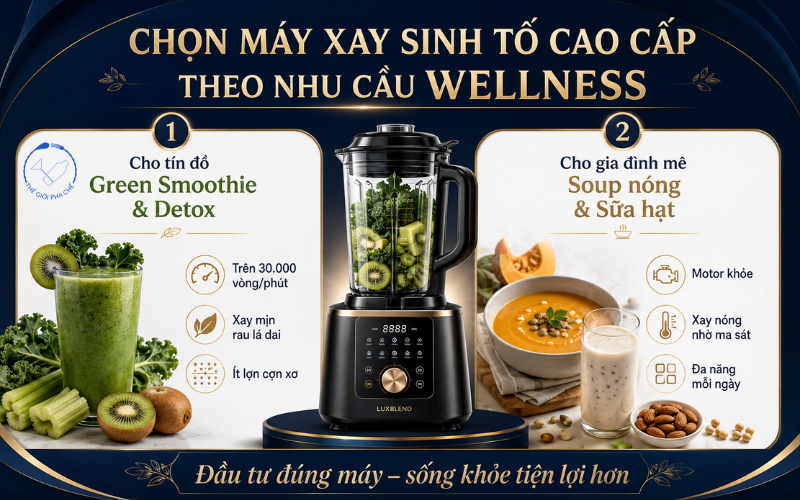 Kinh nghiệm chọn mua m&aacute;y xay sinh tố cao cấp