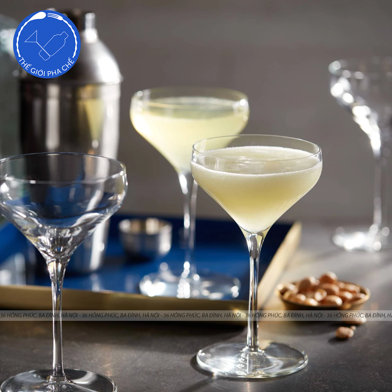 Ly thủy tinh Libbey Master Resever Prism Coupe (Bộ 6c) 237ml - 9329 - 5