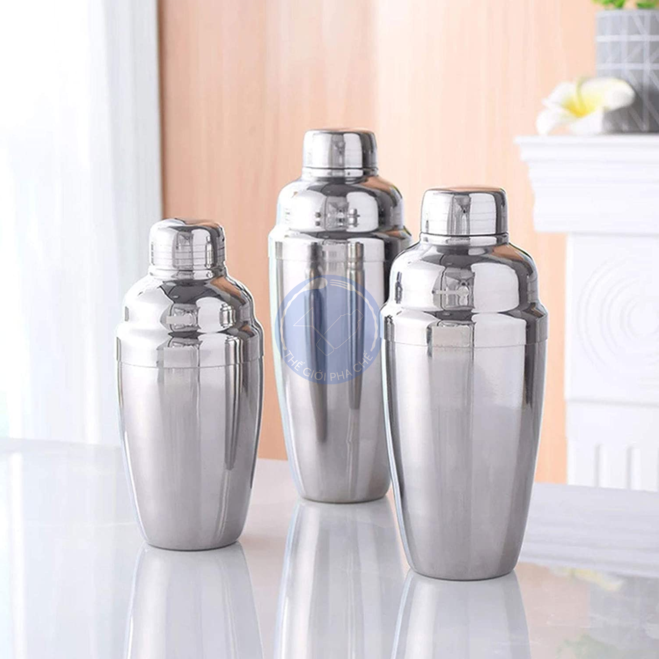 Bình lắc inox - shaker inox 350ml - 550ml - 750ml - 5