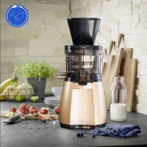 Máy ép hoa quả chậm 19SGM