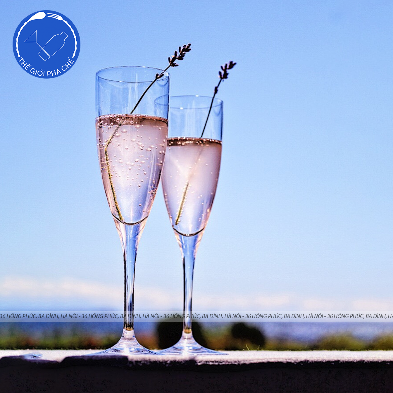 Ly thủy tinh Pasabahce Lyric White Wine (Bộ 6c) 210ml - 44896 - TH Thổ Nhĩ Kỳ - 4