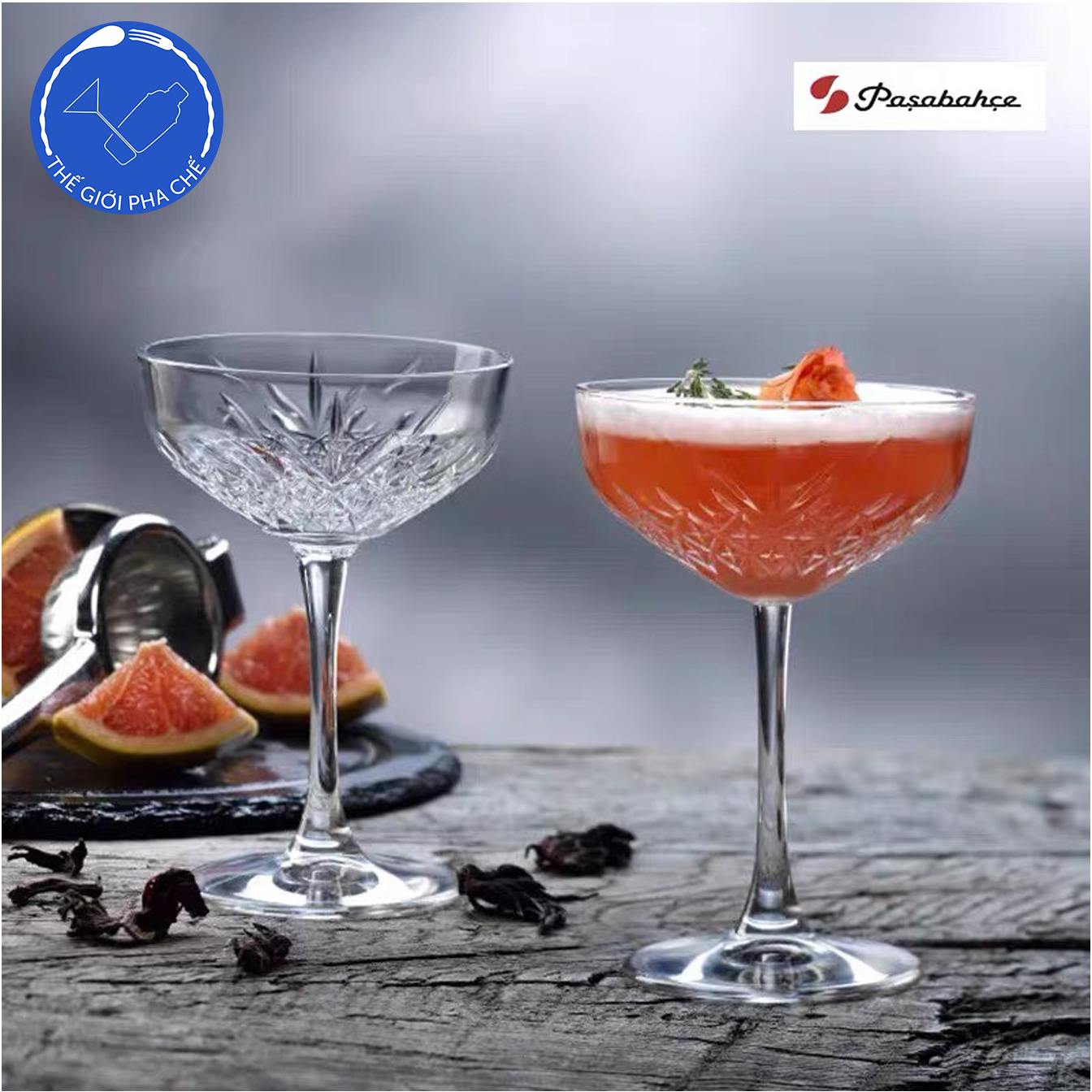 Ly thủy tinh Pasabahce Timeless Coupe Glass (Bộ 4c) 255ml - 440236 - SX Thổ Nhĩ Kỳ - 2