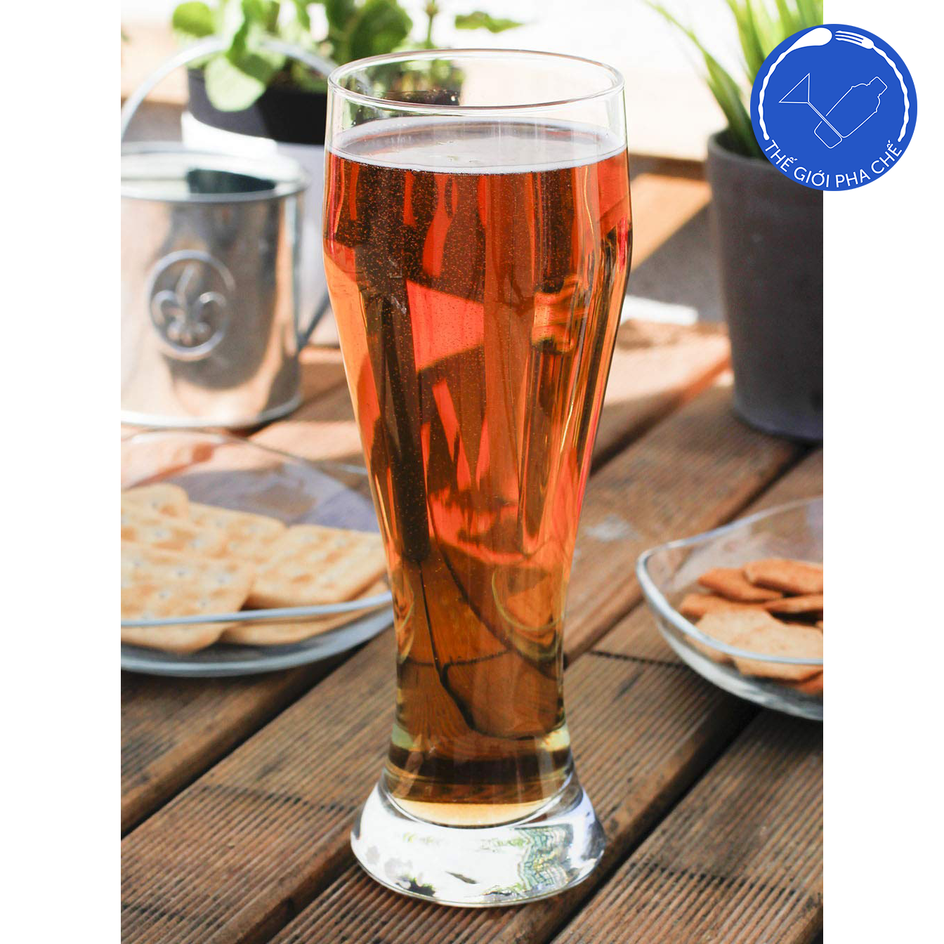 Ly thủy tinh Pasabahce Pilsner Glass (Bộ 6c) 500ml - 42126 - TH Thổ Nhĩ Kỳ  - 4