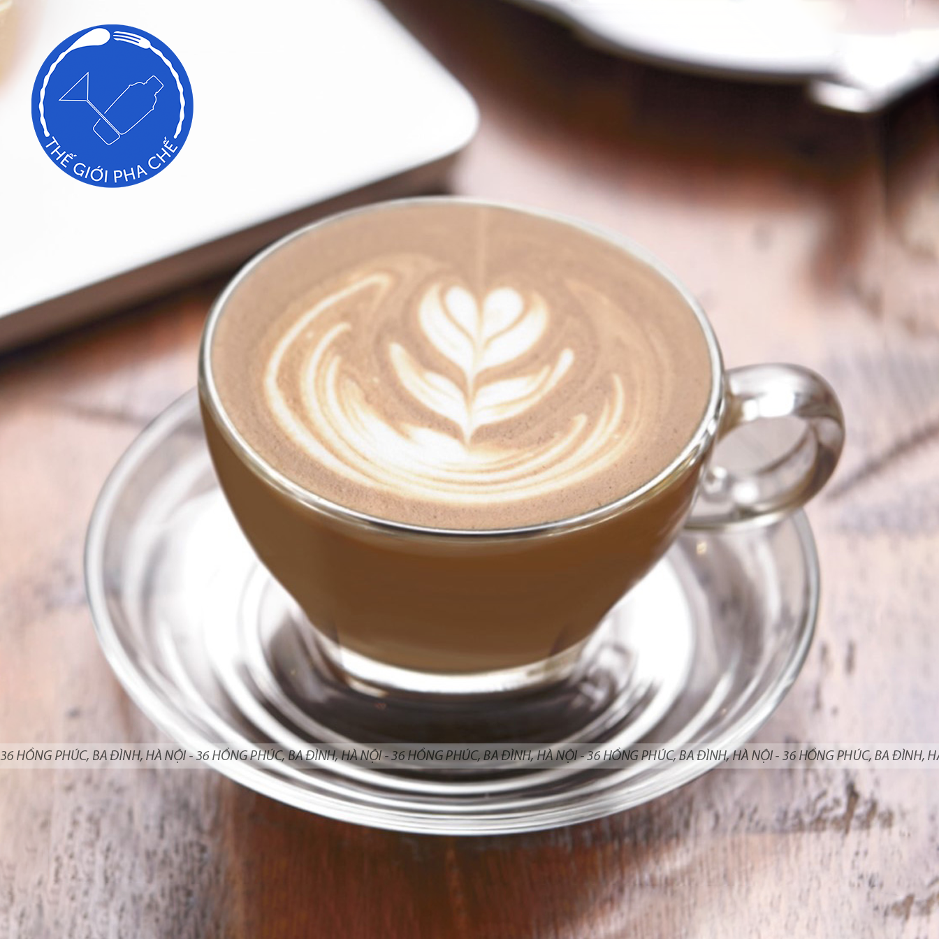Ly thuỷ tinh Ocean Caffe Latte (Bộ 6c kèm đĩa) 260ml - P02443 - TH Thái Lan - 5