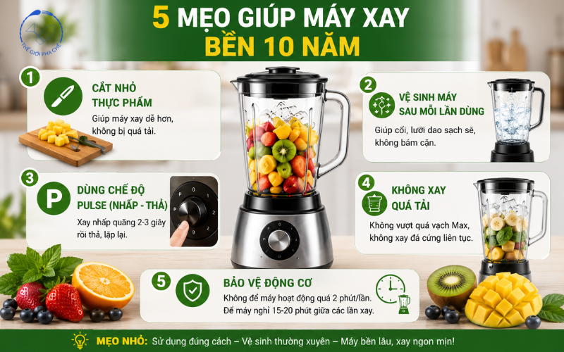 Mẹo dùng máy xay sinh tố bền lâu