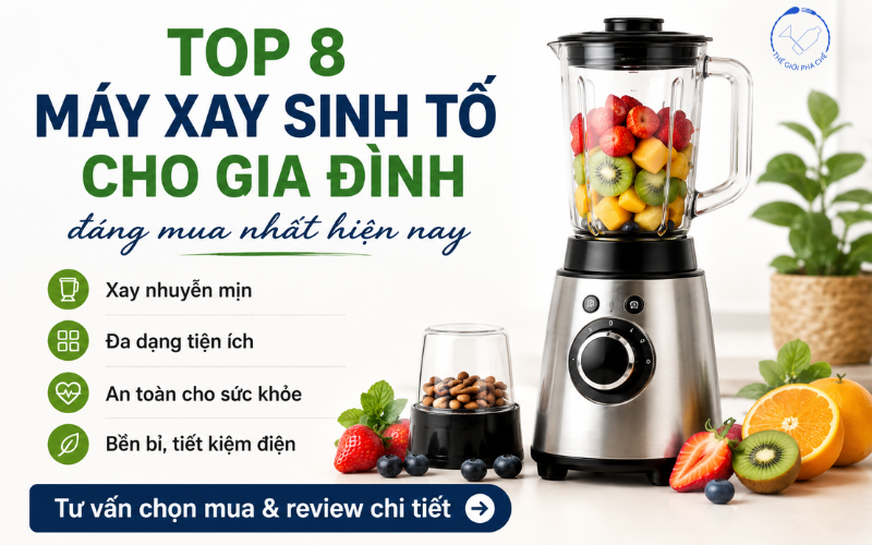 Top 8 máy xay sinh tố cho gia đình đáng mua nhất hiện nay