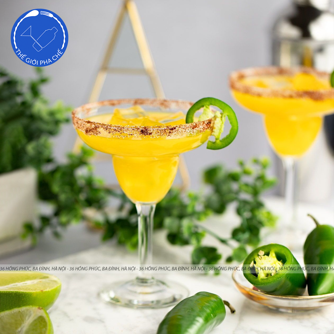Ly thủy tinh Ocean Classic Margarita (Bộ 6c) 200ml - 501M07 - TH Thái Lan - 4
