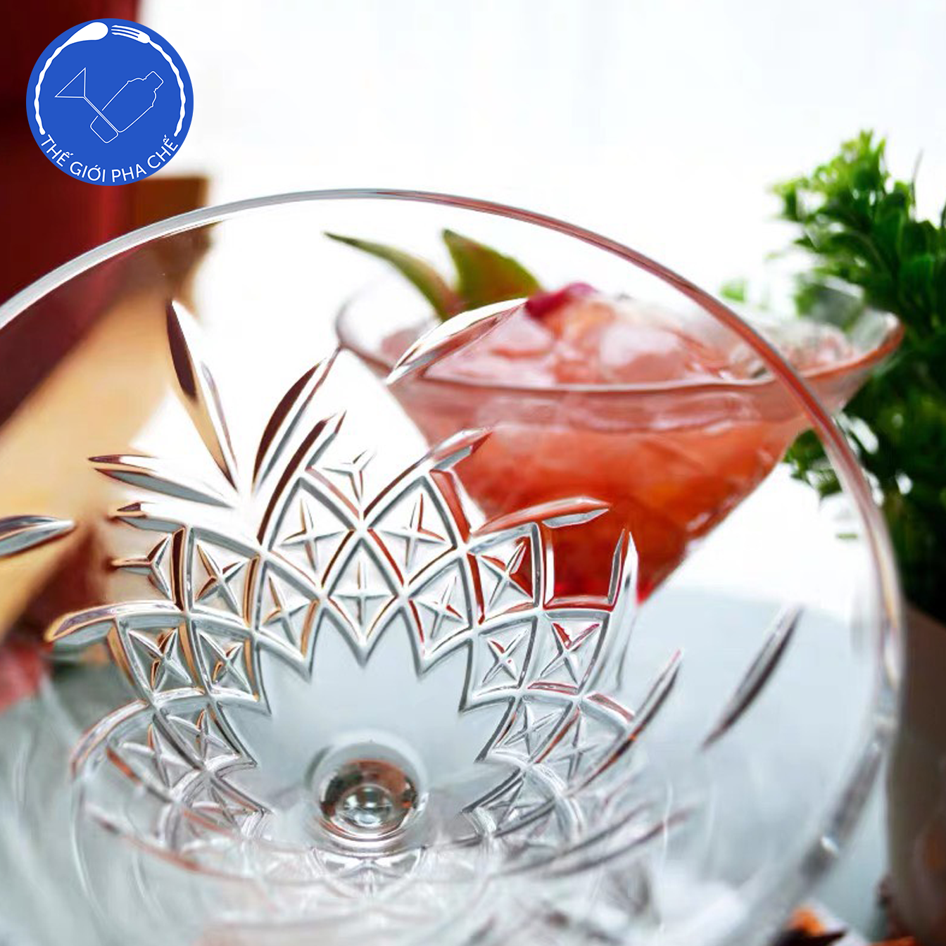 Ly thủy tinh Pasabahce Timeless Coupe Glass (Bộ 6c) 230ml - 440176 - SX Thổ Nhĩ Kỳ - 3