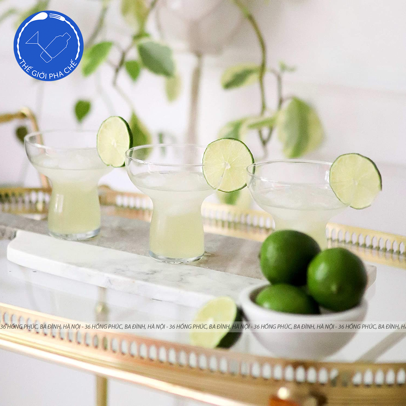 Ly thủy tinh Libbey Cocktail (Bộ 6 cái) 303ml - 2667 - 3