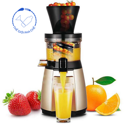 Máy ép hoa quả chậm 19SGM