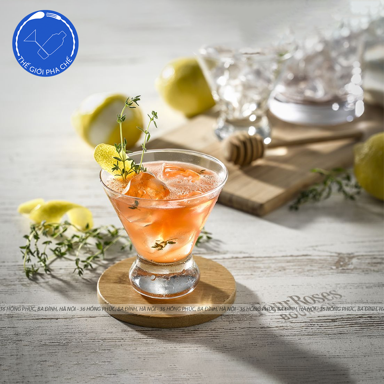 Ly thủy tinh Libbey Cosmopolitan (Bộ 12c) 244ml - 400 - TH Mỹ - 5