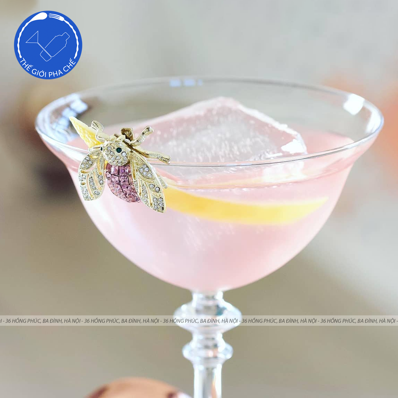 Ly cocktail Libbey Vintage 1924 Coupe (Bộ 6c) 245ml - 501407  - 2