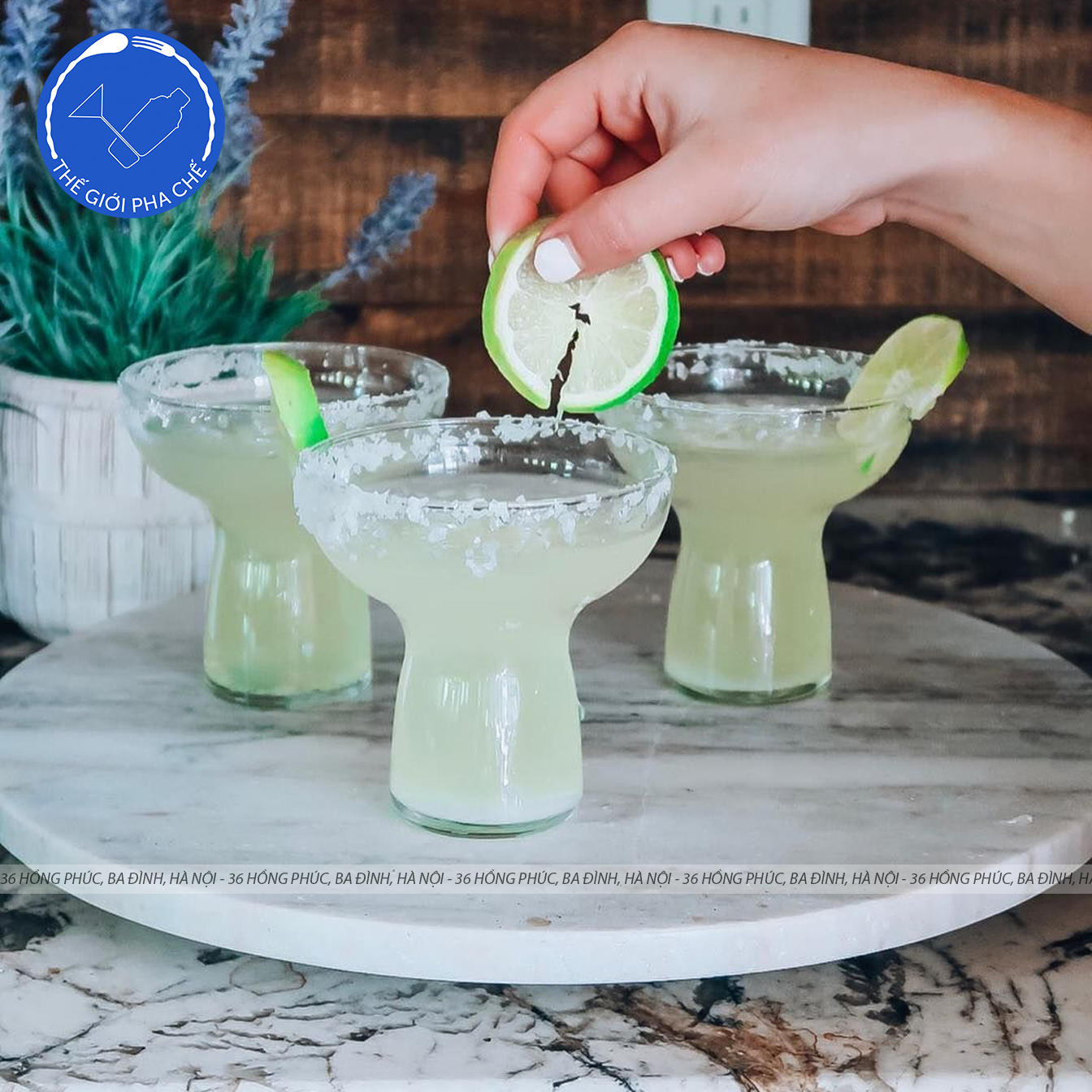 Ly thủy tinh Libbey Cocktail (Bộ 6 cái) 303ml - 2667 - 6
