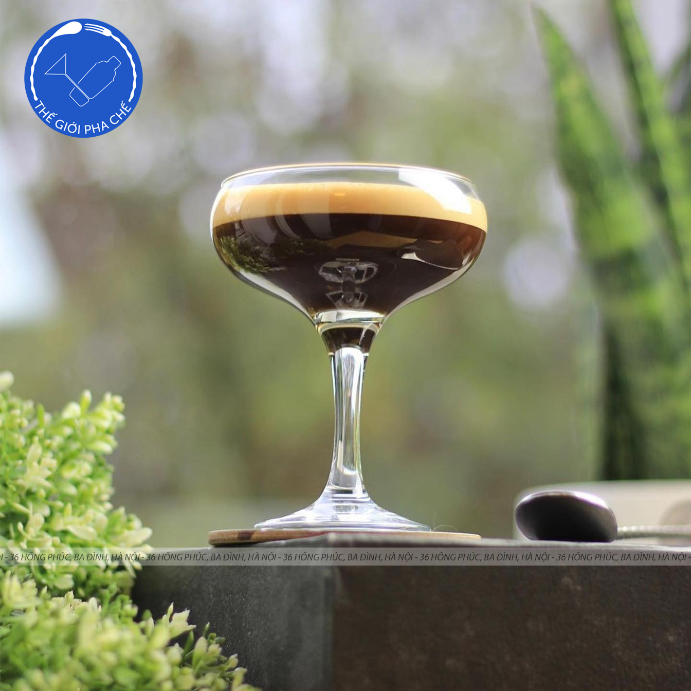 Ly thủy tinh Pasabahce Bistro Champagne (Bộ 6c) 270ml - 44136 - TH Thổ Nhĩ Kỳ - 8