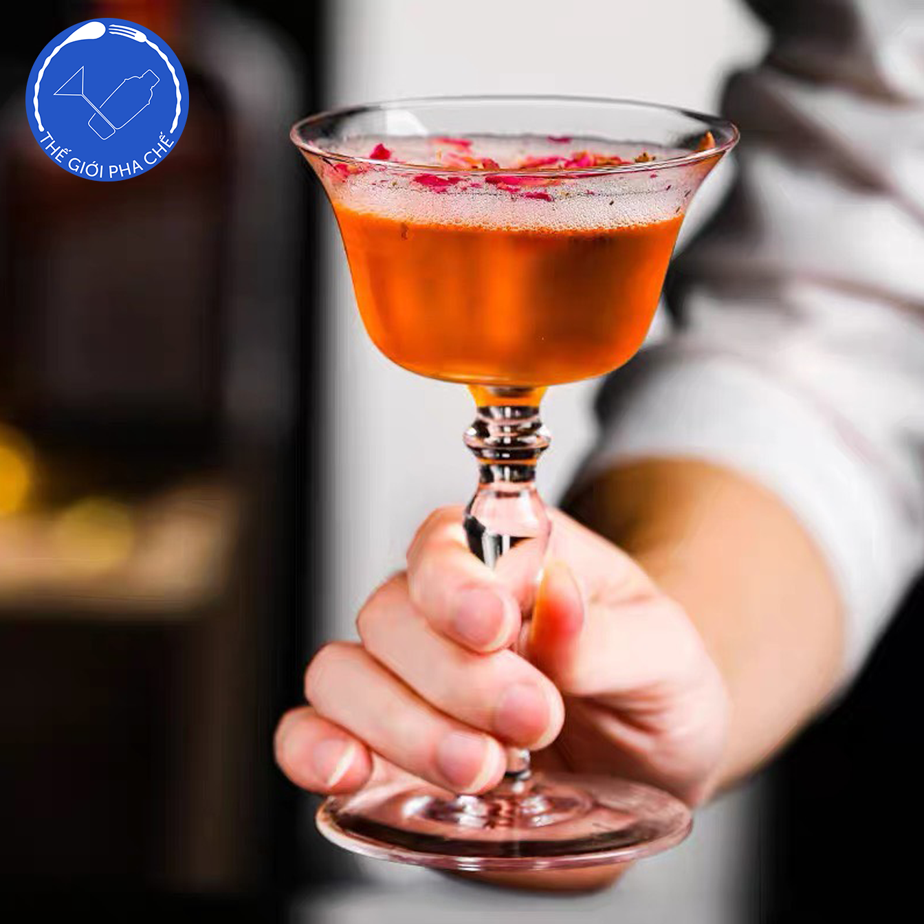 Ly Cocktail Italesse Coupe (Bộ 6c)120ml - H14008 - 2