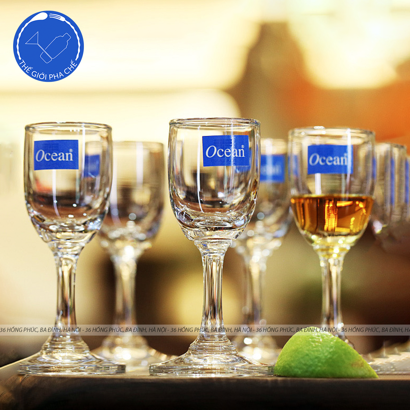 Ly thủy tinh Ocean Classic Liqueur (Bộ 6c) 30ml - 1501L01 - SX Thái Lan - 8