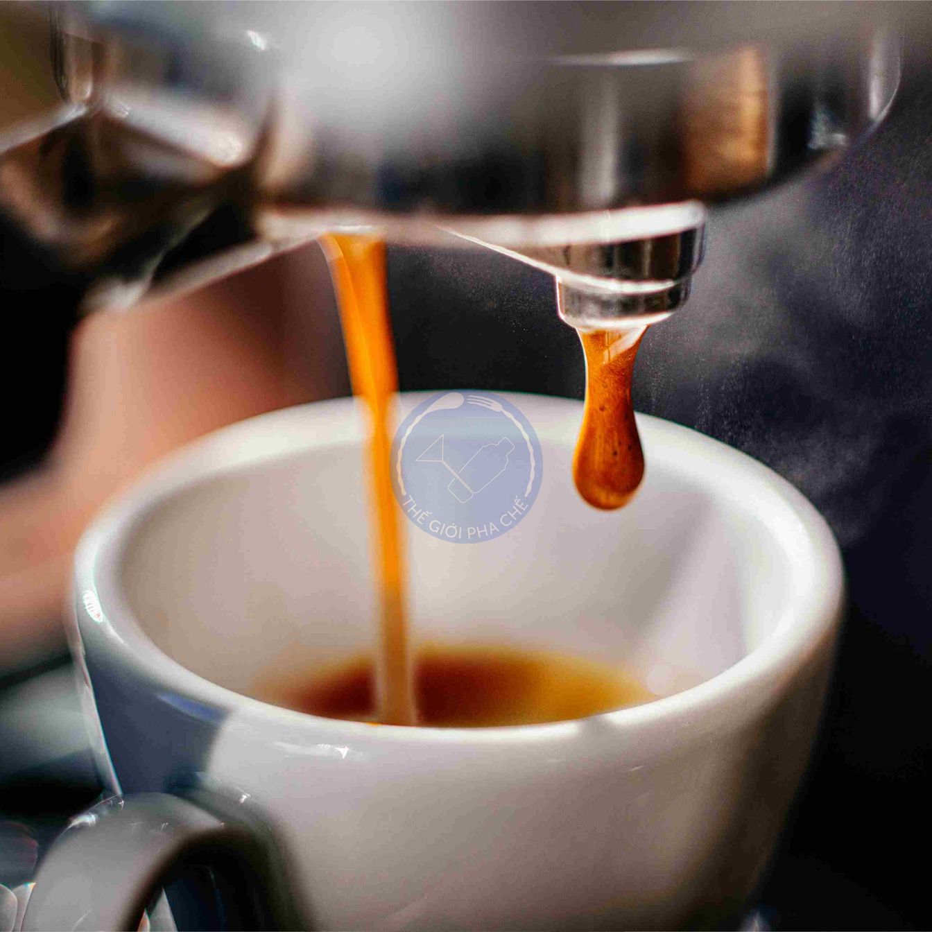 Máy pha café Casadio Undici 1 group