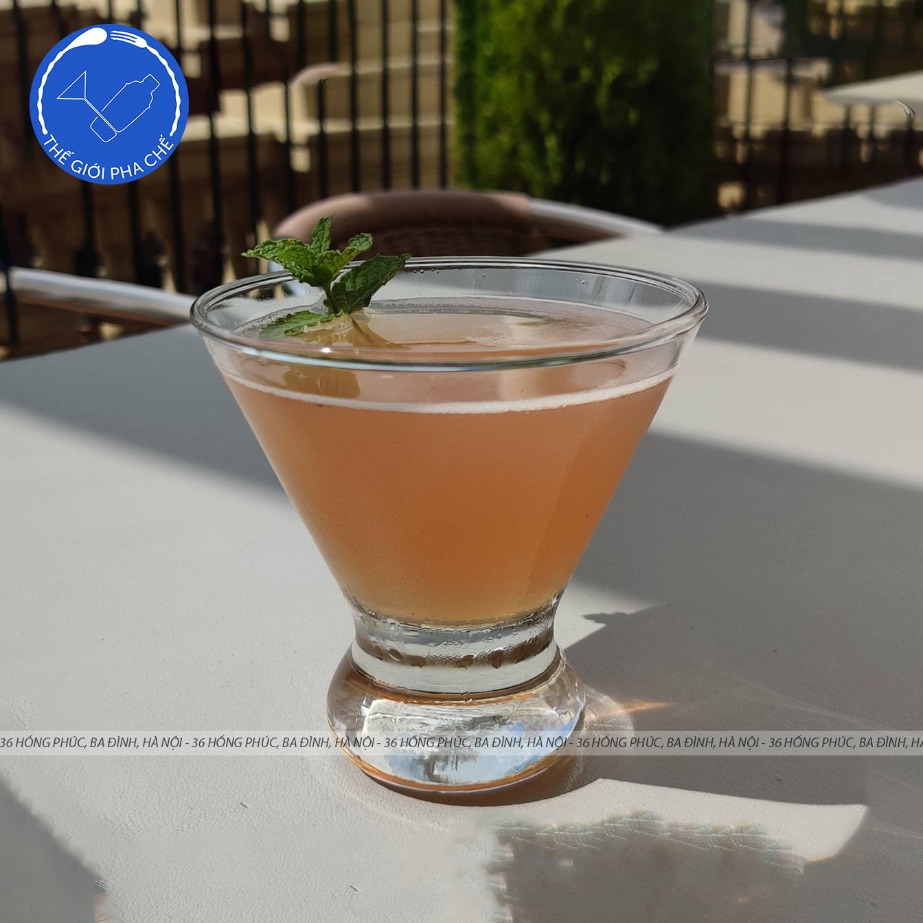 Ly thủy tinh Libbey Cosmopolitan (Bộ 12c) 244ml - 400 - TH Mỹ - 10