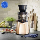 Máy ép hoa quả chậm 19SGM