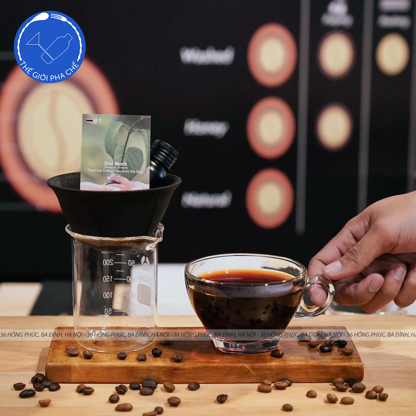Ly thuỷ tinh Ocean Caffe Latte (Bộ 6c kèm đĩa) 260ml - P02443 - TH Thái Lan - 6