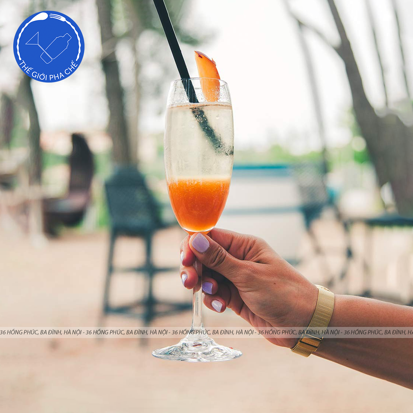 Ly thủy tinh Ocean Classic Flute Champagne (Bộ 6c) 185ml - 1501F07 - TH Thái Lan - 5