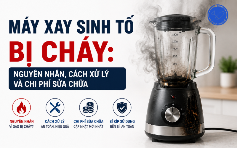 Máy xay sinh tố bị cháy: Nguyên nhân, cách xử lý và chi phí sửa chữa