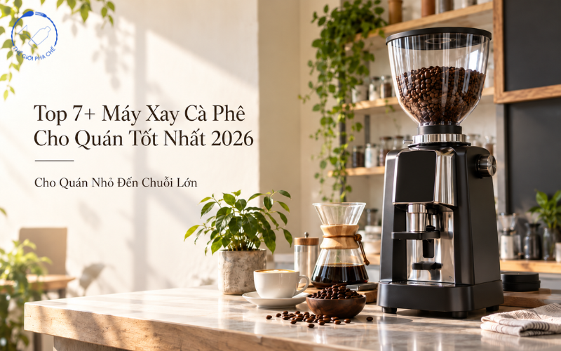 Máy xay cà phê tốt nhất cho quán 2026