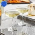 Ly thủy tinh Ocean Classic Saucer Champagne (Bộ 6c) 135ml - 501S05 - TH Thái Lan 2