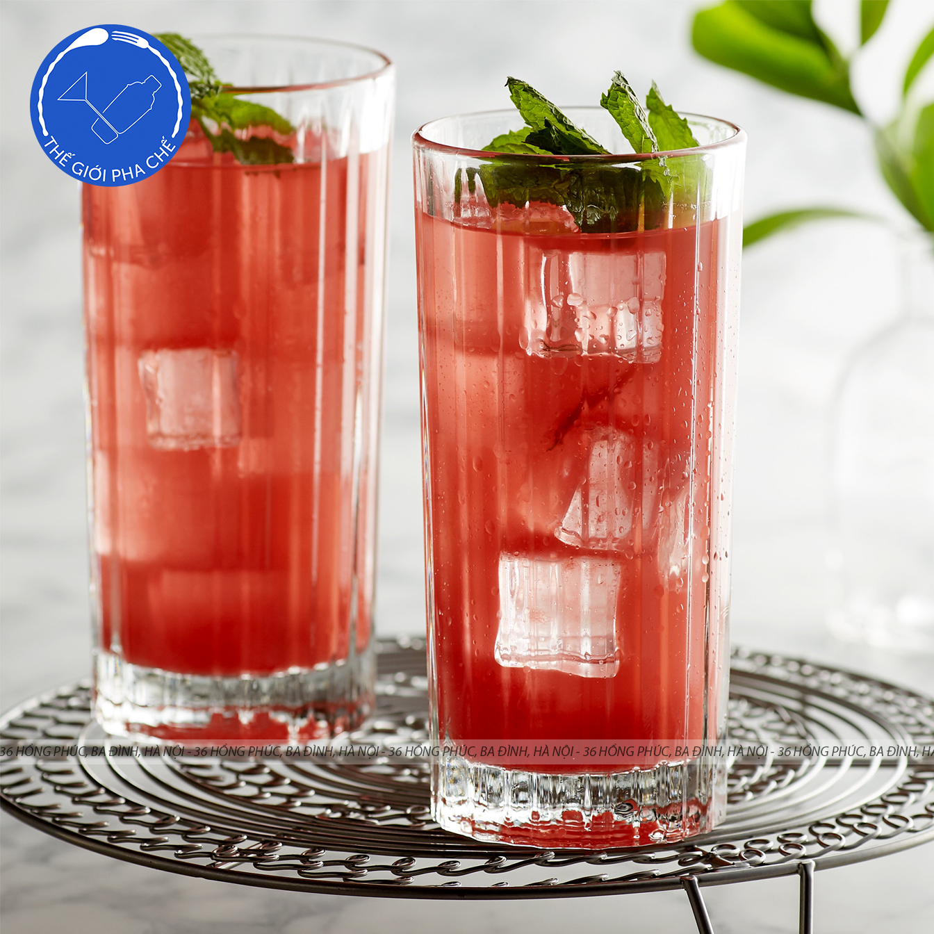 Ly thuỷ tinh Libbey Flashback Cooler (Bộ 6c) 470ml - 824353 - TH Mỹ - 4