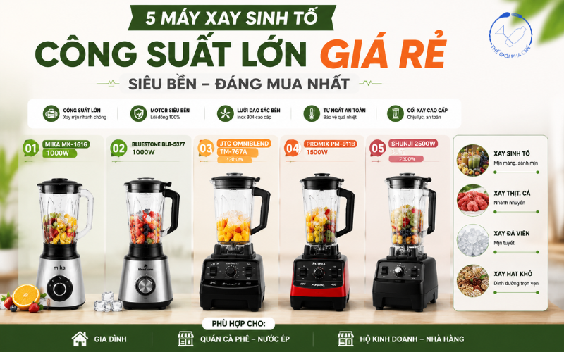 [Top 5] Máy xay sinh tố công suất lớn đáng mua nhất