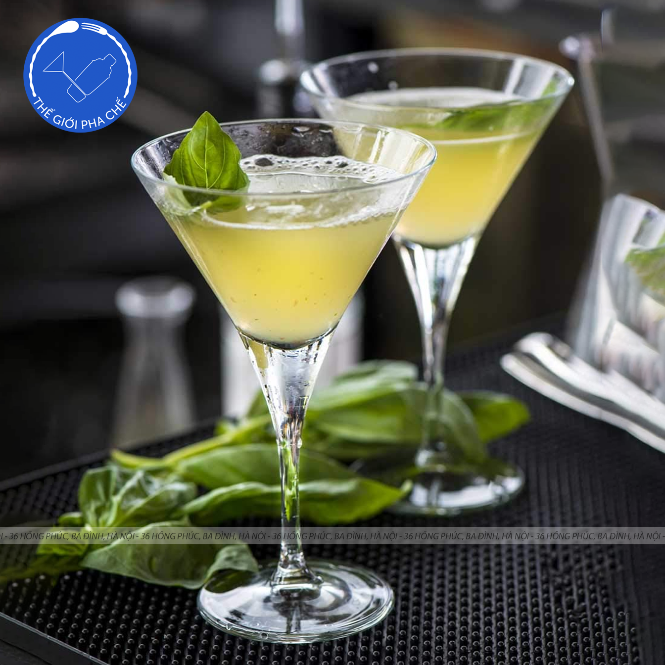 Ly thủy tinh Pasabahce V-line Martini  (Bộ 6c) 250ml - 44335 - SX Thổ Nhĩ Kỳ - 5