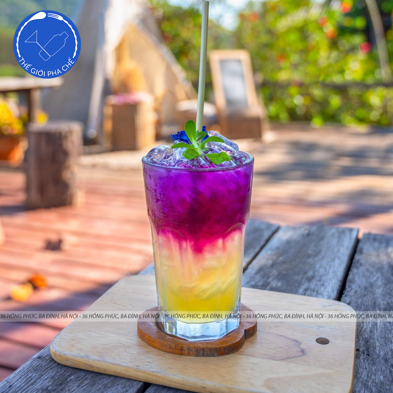 Ly thuỷ tinh Ocean Hi Ball (Bộ 6c) 300ml - P01961 - TH Thái Lan - 4